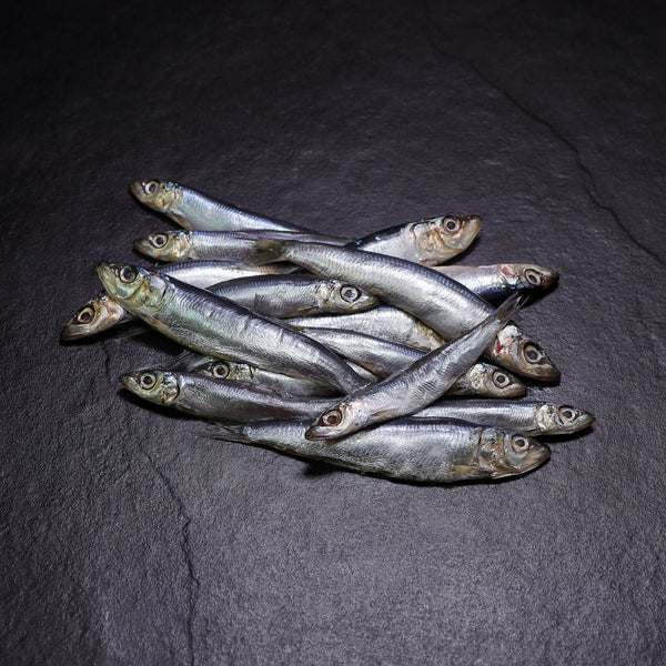 Iwashi (Sardines)